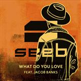 Seeb 'What Do You Love (featuring Jacob Banks)' Piano, Vocal & Guitar Chords