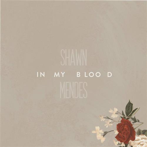 Easily Download Shawn Mendes Printable PDF piano music notes, guitar tabs for  TTBB Choir. Transpose or transcribe this score in no time - Learn how to play song progression.