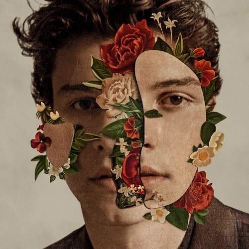 Easily Download Shawn Mendes Printable PDF piano music notes, guitar tabs for  Easy Guitar Tab. Transpose or transcribe this score in no time - Learn how to play song progression.