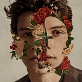 Shawn Mendes 'In My Blood' Easy Guitar Tab