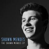 Shawn Mendes 'Life Of The Party' Easy Piano