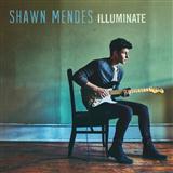 Shawn Mendes 'Three Empty Words' Piano, Vocal & Guitar Chords