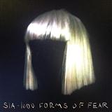 Sia 'Big Girls Cry' Piano, Vocal & Guitar Chords (Right-Hand Melody)