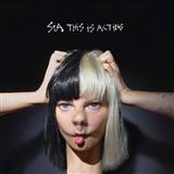 Sia 'Bird Set Free' Piano, Vocal & Guitar Chords