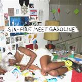 Sia 'Fire Meet Gasoline' Piano, Vocal & Guitar Chords