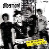 Silbermond 'Verschwende Deine Zeit' Lead Sheet / Fake Book
