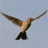 Sir Samuel Ferguson 'The Lark In The Clear Air' Piano, Vocal & Guitar Chords (Right-Hand Melody)