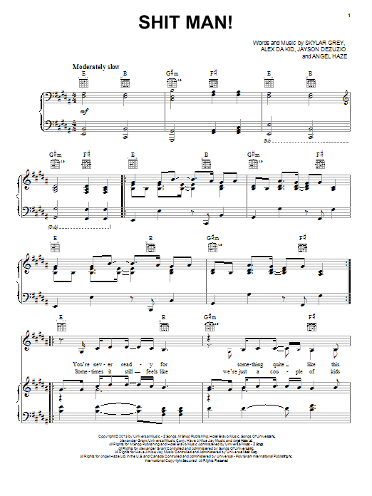 Skylar Grey Shit Man! sheet music notes and chords arranged for Piano, Vocal & Guitar Chords (Right-Hand Melody)
