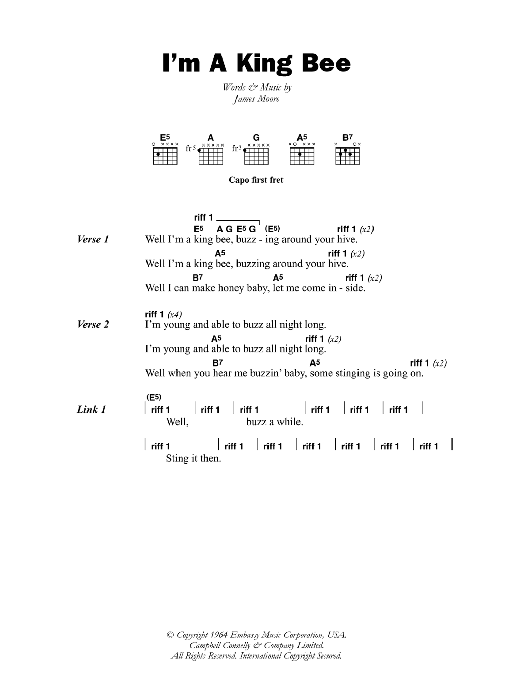 Slim Harpo I'm A King Bee sheet music notes and chords arranged for Guitar Chords/Lyrics