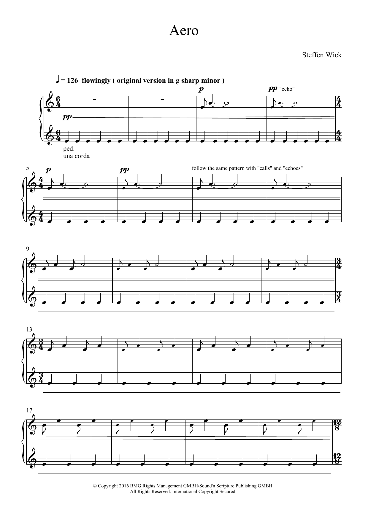 Steffen Wick Aero sheet music notes and chords arranged for Piano Solo
