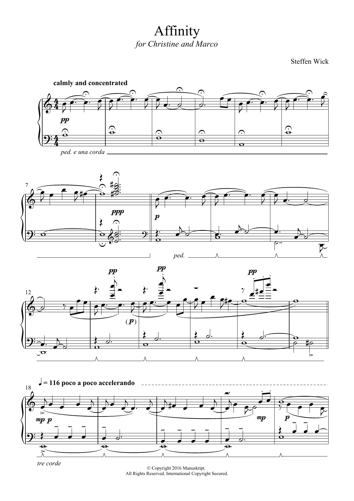 Steffen Wick Affinity sheet music notes and chords arranged for Piano Solo