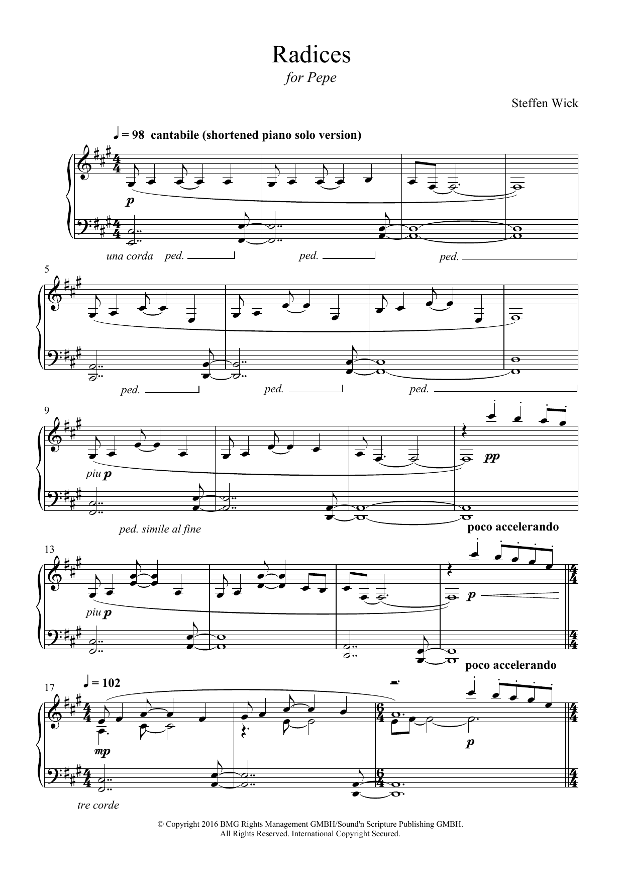 Steffen Wick Radices sheet music notes and chords arranged for Piano Solo