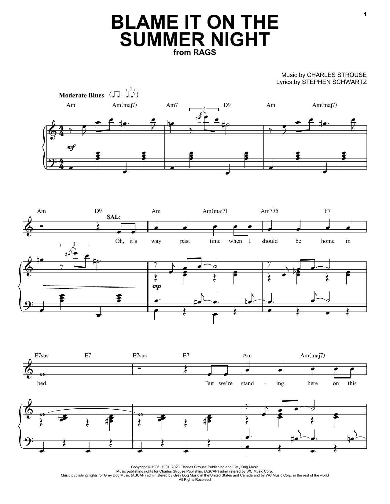 Stephen Schwartz & Charles Strouse Blame It On The Summer Night (from Rags: The Musical) sheet music notes and chords arranged for Piano & Vocal