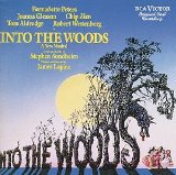 Stephen Sondheim 'Giants In The Sky (from Into The Woods)' Vocal Pro + Piano/Guitar