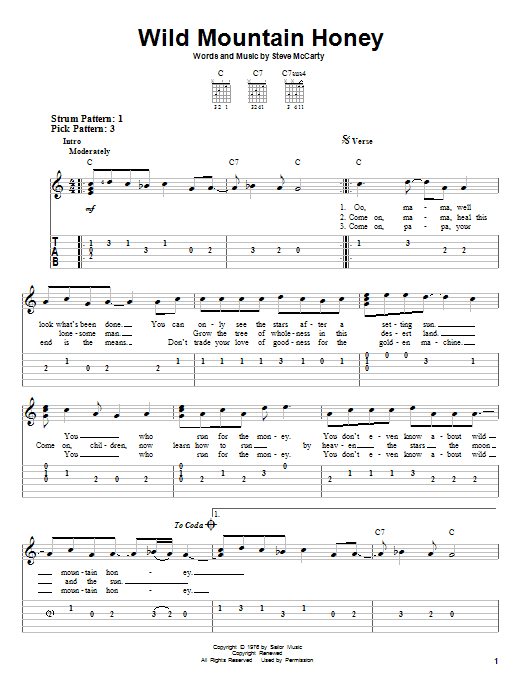 Steve Miller Band Wild Mountain Honey sheet music notes and chords arranged for Easy Guitar Tab
