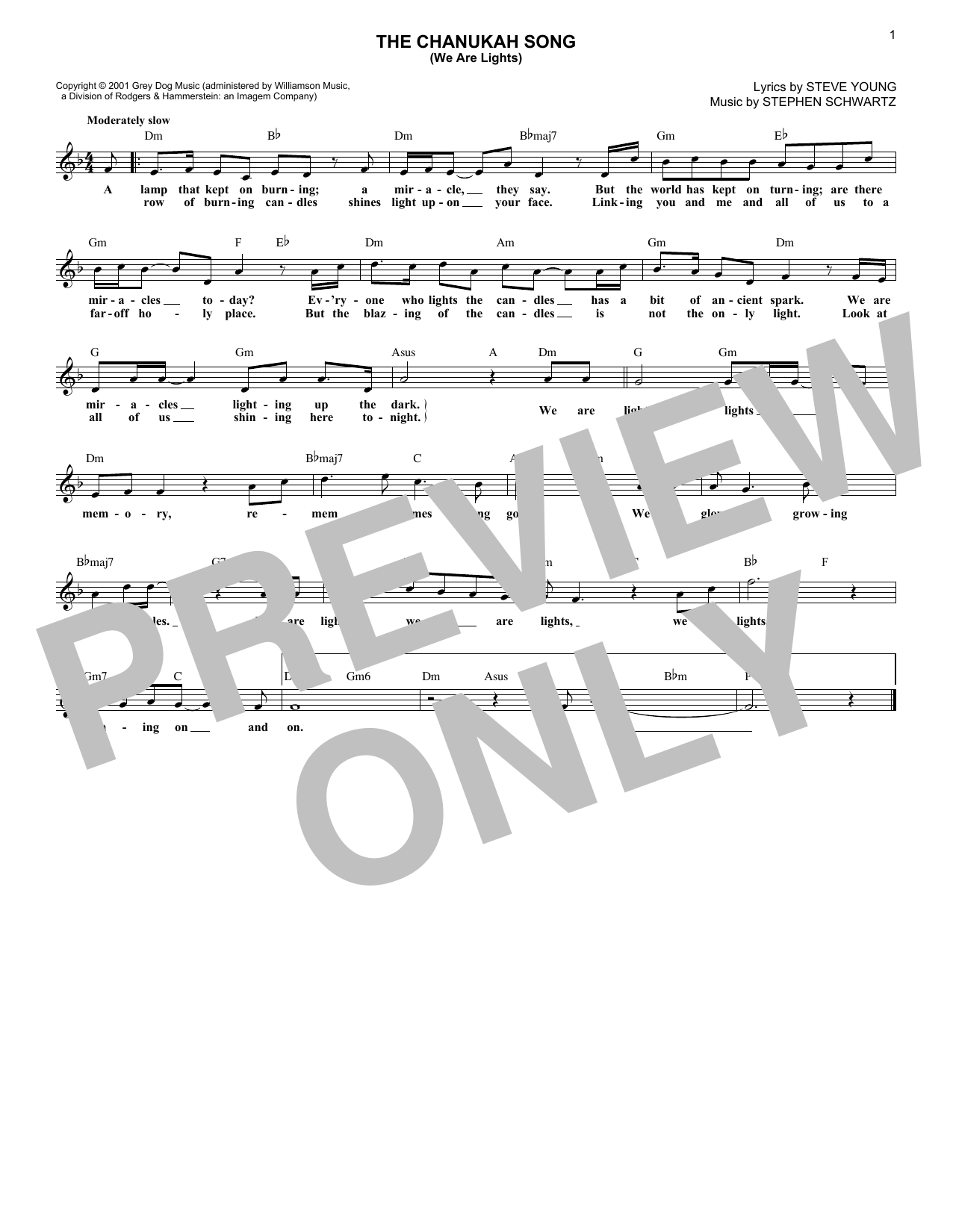 Steve Young The Chanukah Song (We Are Lights) sheet music notes and chords arranged for Lead Sheet / Fake Book