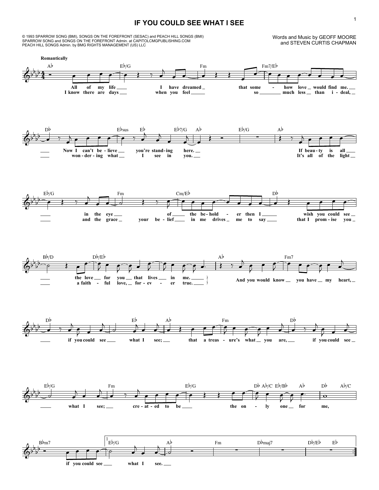 Steven Curtis Chapman If You Could See What I See sheet music notes and chords arranged for Lead Sheet / Fake Book