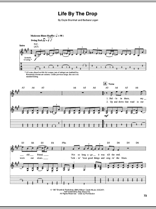 Stevie Ray Vaughan Life By The Drop sheet music notes and chords arranged for Guitar Chords/Lyrics