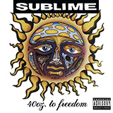 Sublime 'Smoke Two Joints' Bass Guitar Tab