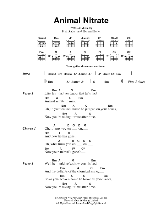Suede Animal Nitrate sheet music notes and chords arranged for Guitar Chords/Lyrics