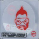 Super Furry Animals 'Ice Hockey Hair' Guitar Chords/Lyrics