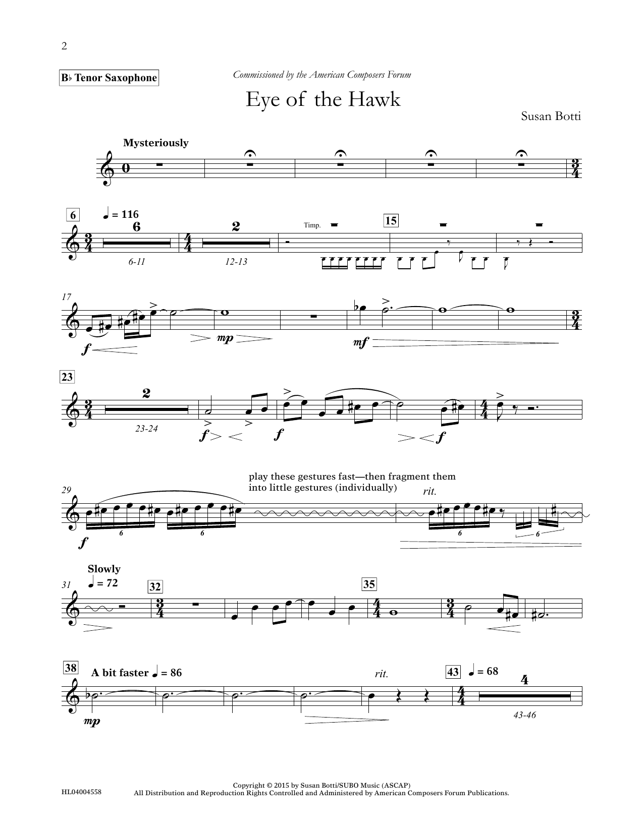 Susan Botti Eye of the Hawk - Bb Tenor Saxophone sheet music notes and chords arranged for Concert Band