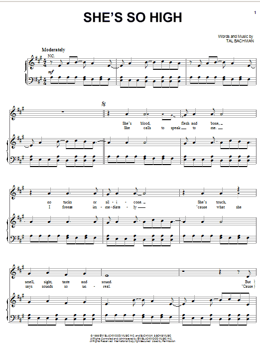 Tal Bachman She's So High sheet music notes and chords arranged for Piano, Vocal & Guitar Chords (Right-Hand Melody)