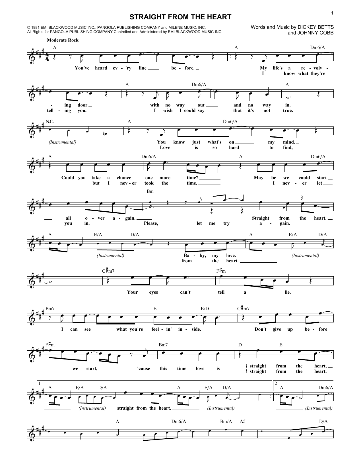 The Allman Brothers Band Straight From The Heart sheet music notes and chords arranged for Lead Sheet / Fake Book