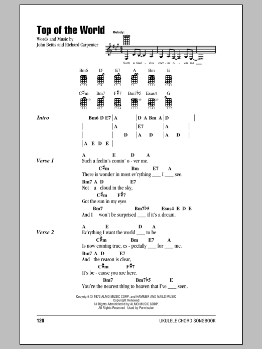 Carpenters Top Of The World sheet music notes and chords arranged for Lead Sheet / Fake Book