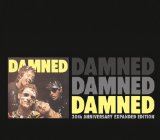 The Damned 'New Rose' Guitar Chords/Lyrics