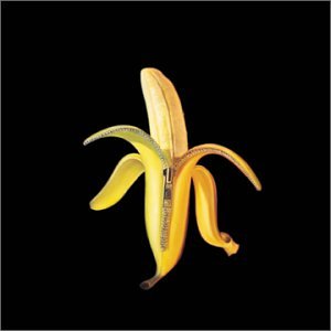 Easily Download The Dandy Warhols Printable PDF piano music notes, guitar tabs for  Guitar Chords/Lyrics. Transpose or transcribe this score in no time - Learn how to play song progression.