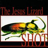 The Jesus Lizard 'Blue Shot' Guitar Chords/Lyrics
