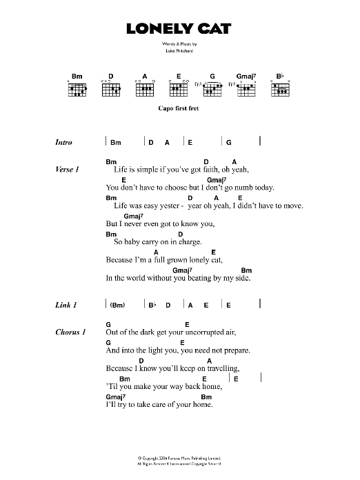 The Kooks Lonely Cat sheet music notes and chords arranged for Guitar Chords/Lyrics
