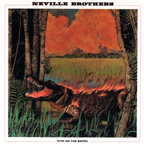 Easily Download The Neville Brothers Printable PDF piano music notes, guitar tabs for  Piano, Vocal & Guitar Chords (Right-Hand Melody). Transpose or transcribe this score in no time - Learn how to play song progression.