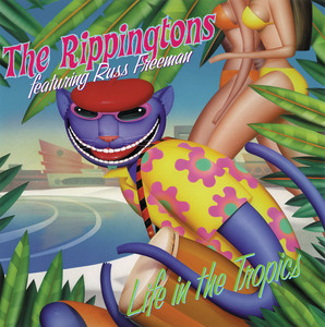 Easily Download The Rippingtons Printable PDF piano music notes, guitar tabs for  Solo Guitar. Transpose or transcribe this score in no time - Learn how to play song progression.