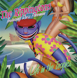 The Rippingtons 'Club Paradiso' Solo Guitar