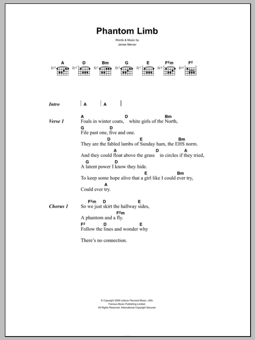 The Shins Phantom Limb sheet music notes and chords arranged for Guitar Chords/Lyrics
