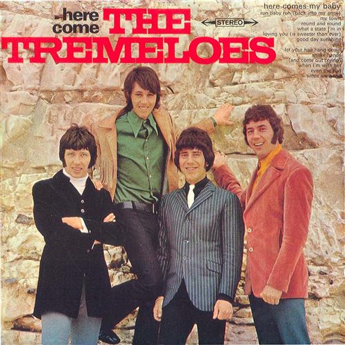 Easily Download The Tremeloes Printable PDF piano music notes, guitar tabs for  Guitar Chords/Lyrics. Transpose or transcribe this score in no time - Learn how to play song progression.