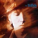 The Triffids 'Bury Me Deep In Love' Piano, Vocal & Guitar Chords (Right-Hand Melody)