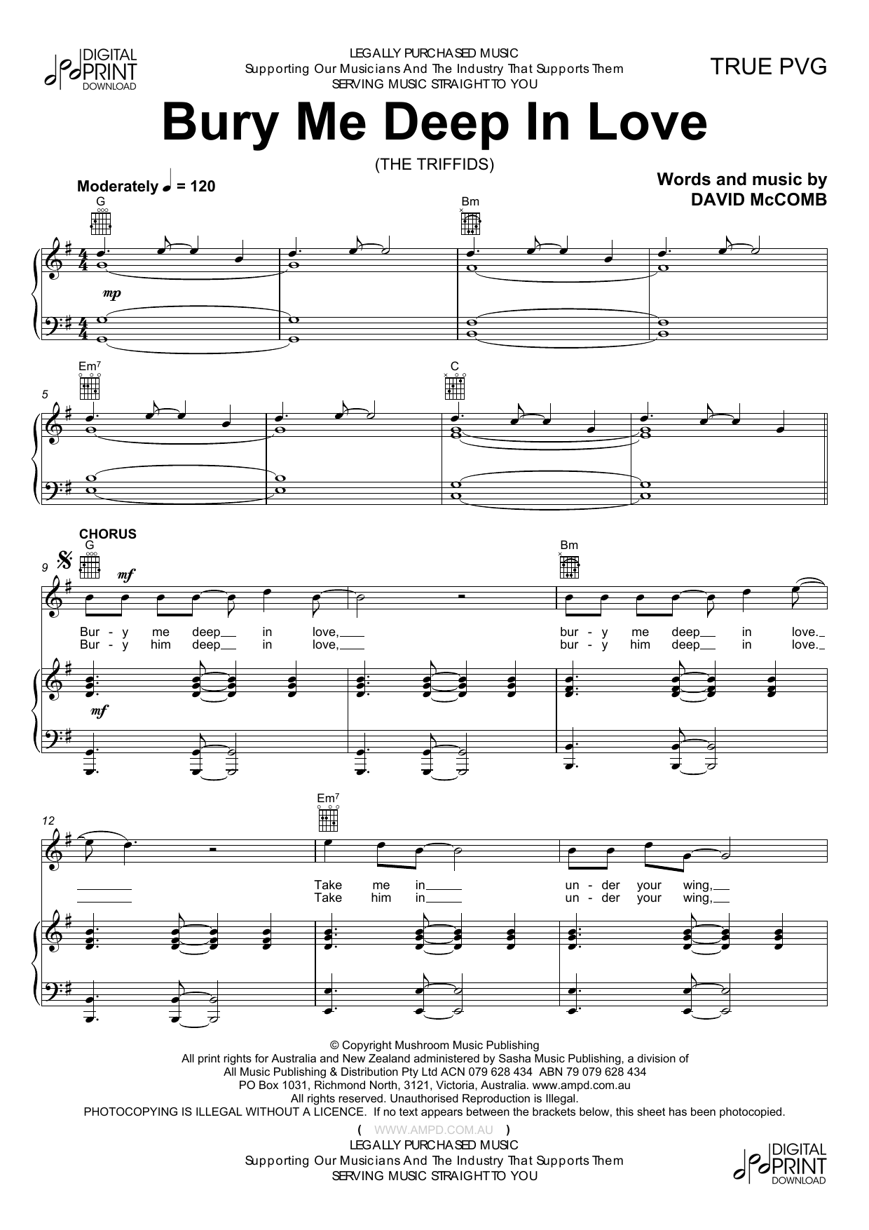 The Triffids Bury Me Deep In Love sheet music notes and chords arranged for Piano, Vocal & Guitar Chords (Right-Hand Melody)