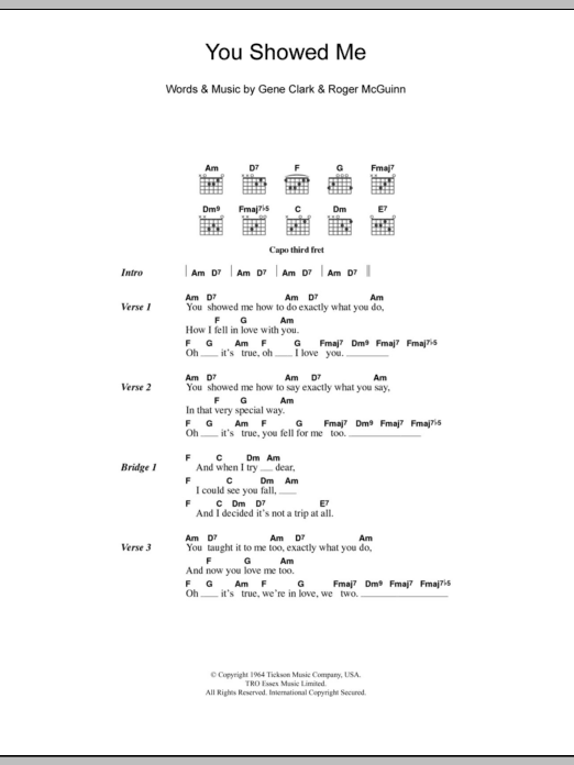 The Turtles You Showed Me sheet music notes and chords arranged for Guitar Chords/Lyrics