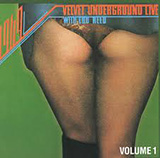 The Velvet Underground 'Pale Blue Eyes' Guitar Chords/Lyrics