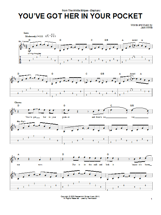 The White Stripes You've Got Her In Your Pocket sheet music notes and chords arranged for Guitar Chords/Lyrics