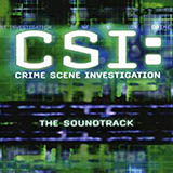 The Who 'Who Are You (from CSI: Crime Scene Investigation)' Piano, Vocal & Guitar Chords (Right-Hand Melody)