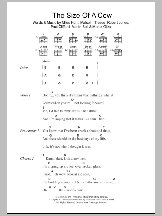 The Wonder Stuff The Size Of A Cow sheet music notes and chords arranged for Guitar Chords/Lyrics