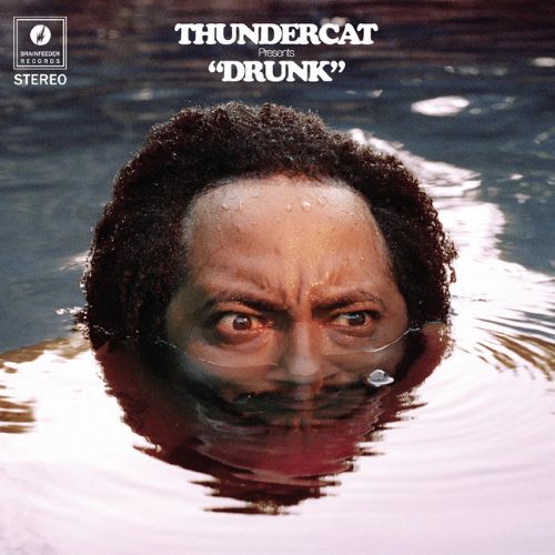 Easily Download Thundercat Printable PDF piano music notes, guitar tabs for  Bass Guitar Tab. Transpose or transcribe this score in no time - Learn how to play song progression.