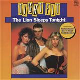 Tight Fit 'The Lion Sleeps Tonight (Wimoweh)' Piano, Vocal & Guitar Chords