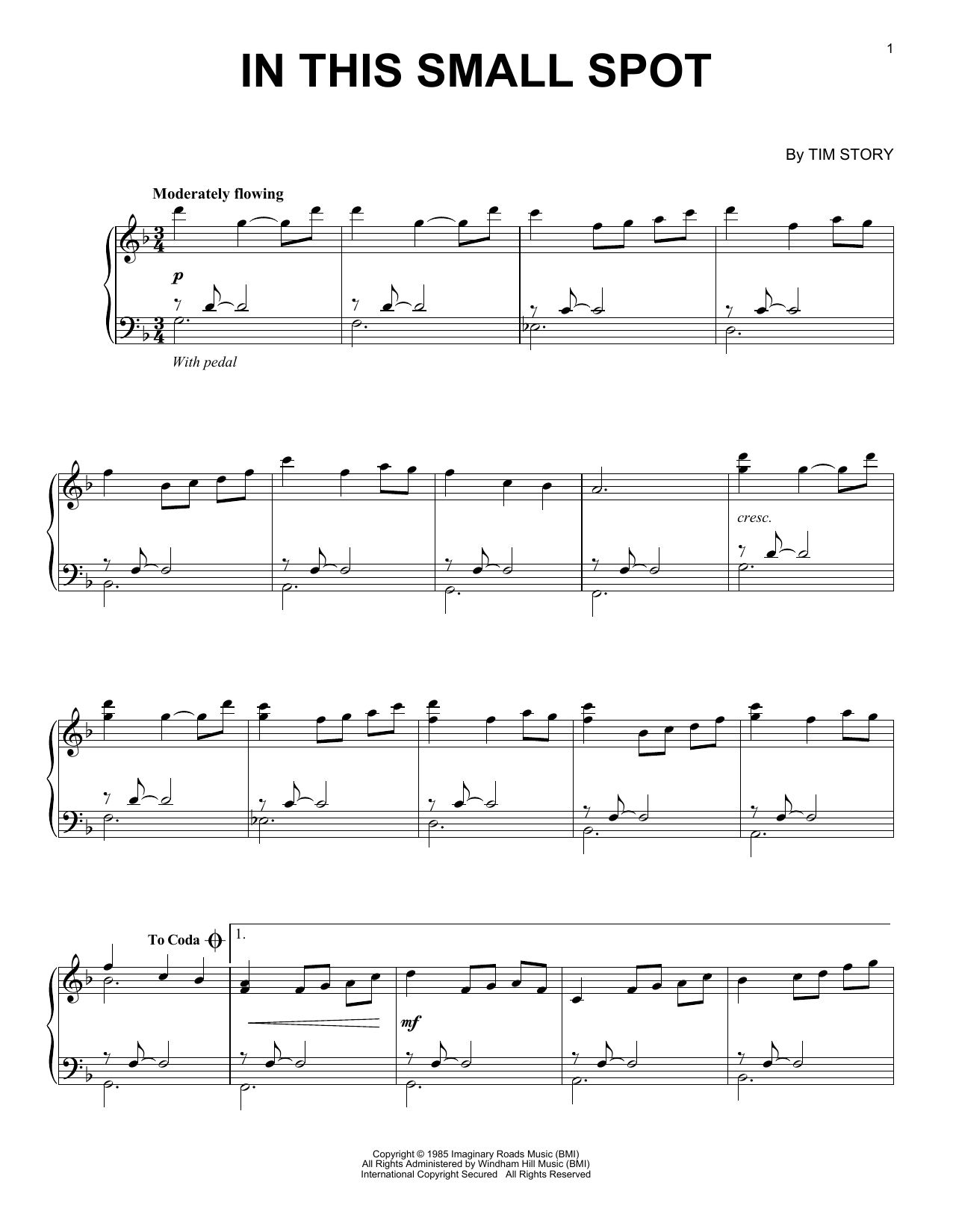 Tim Story In This Small Spot sheet music notes and chords arranged for Piano Solo