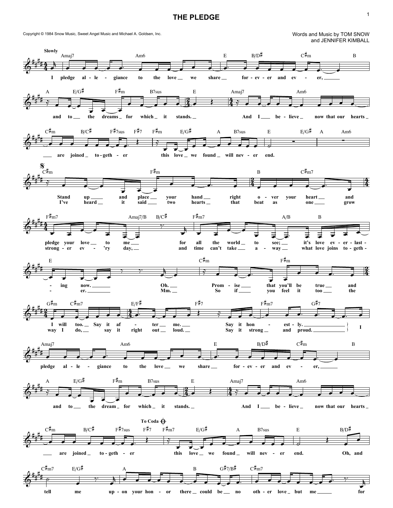 Tom Snow The Pledge sheet music notes and chords arranged for Lead Sheet / Fake Book