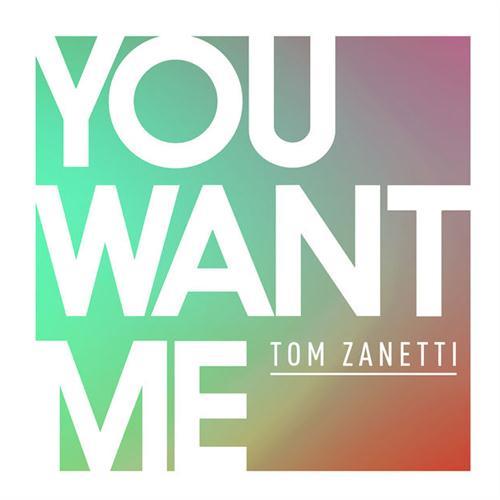 Easily Download Tom Zanetti Printable PDF piano music notes, guitar tabs for  Beginner Piano (Abridged). Transpose or transcribe this score in no time - Learn how to play song progression.